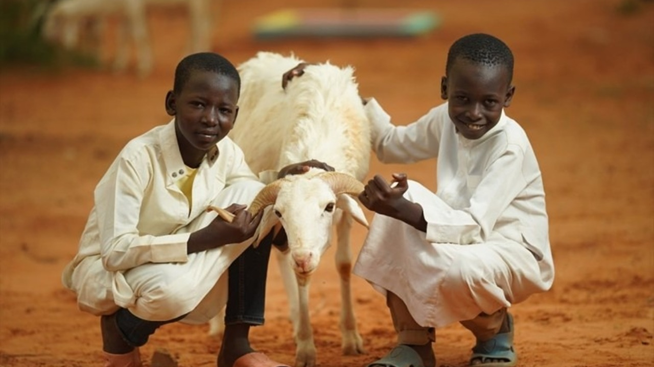 Afrika’da Bir Kurban, Bir Aileye Bayram Sevinci Oluyor