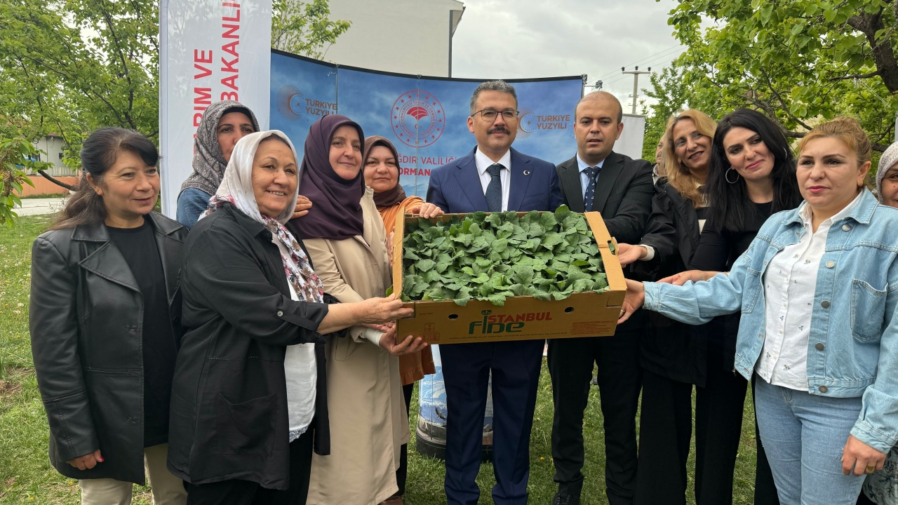Iğdır’da kadın çiftçilere fide müjdesi! Toprağın bereketi artıyor