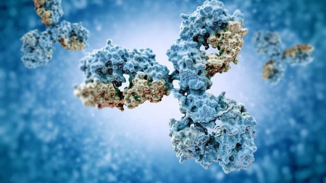 Harvardlı bilim insanları bağışıklık sisteminin insanların ruh halini etkilediğini ortaya çıkardı