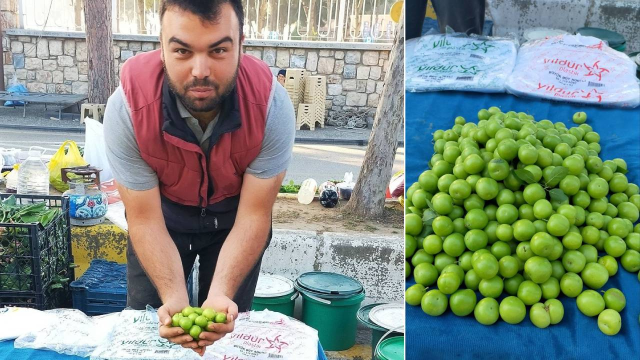 Yazın müjdecisi yeşil erik tezgaha düştü, tuza ban ban ye, A, B ve C vitamini deposu