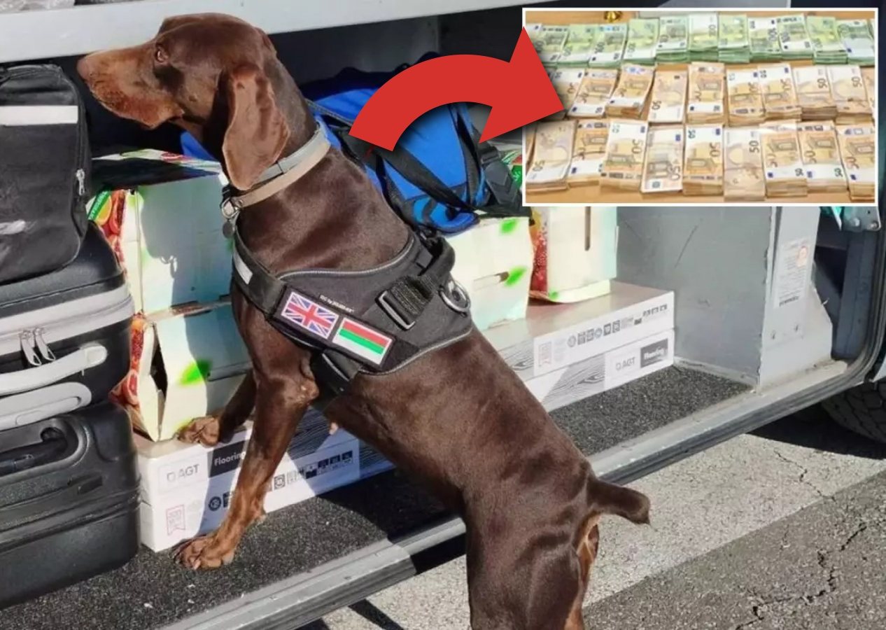 Sınırda nefes kesen anlar: Tıra gizlenen 15 milyon lirayı dedektör köpek Adele ortaya çıkardı