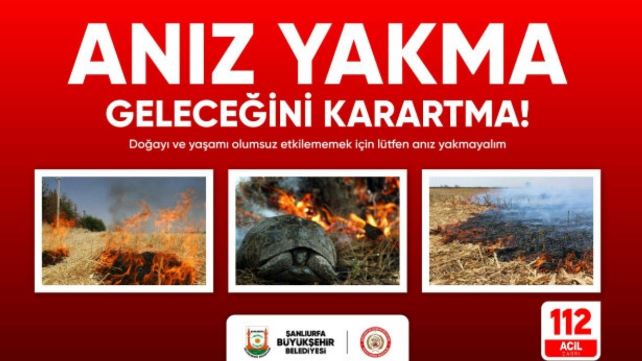 Şanlıurfa’da anız uyarısı: Toprağı, canlıları, havayı yakanlara yasal işlem yolda!