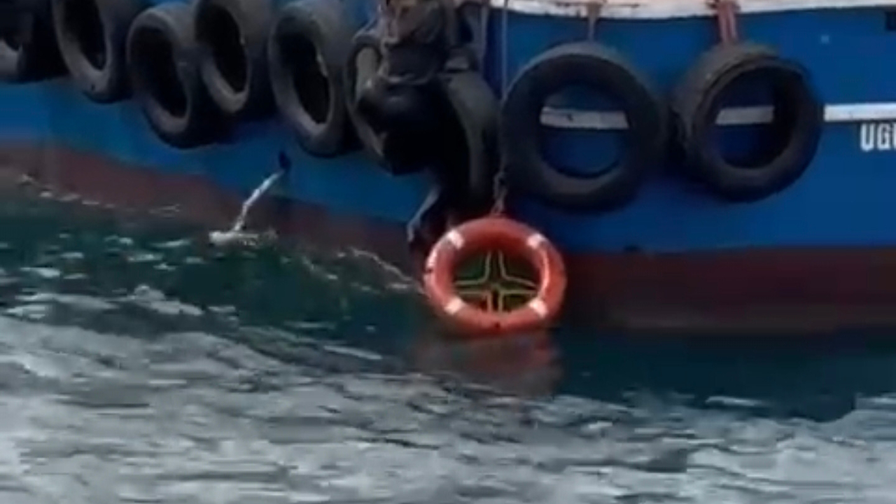 İstanbul Kartal'da vapurdan denize düşen kadını balıkçılar kurtardı...