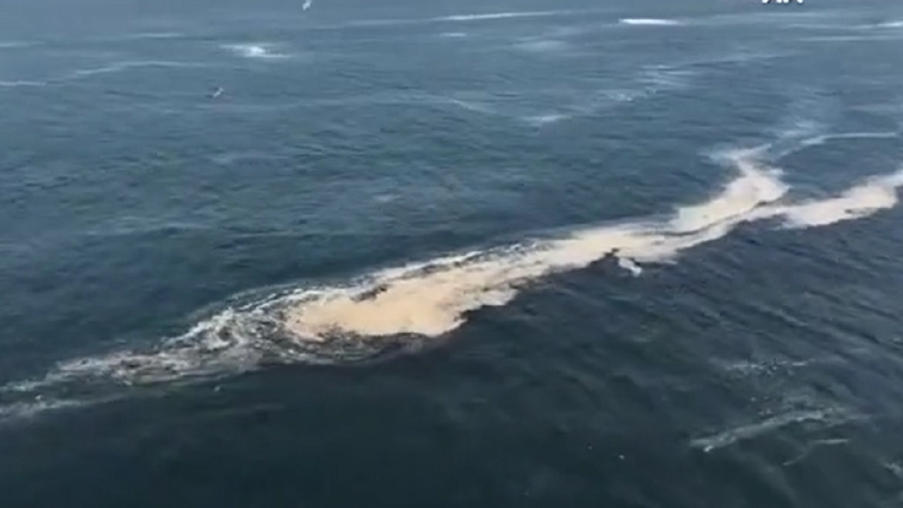 Marmara'nın kabusu ortaya çıktı! Kıyılarda yoğunluk dikkat çekti!