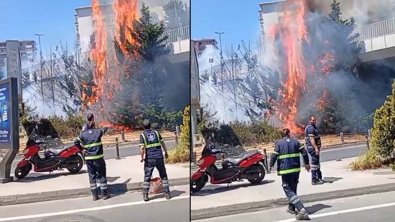Etiler'de korkutan yangın! Alevler bir anda ağaçları sardı