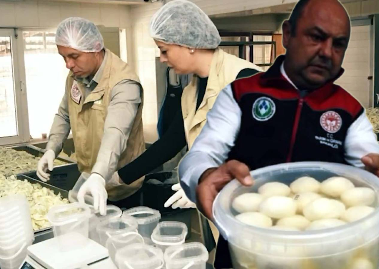 Bozulmuş-küflenmiş 40 ton sütü piyasaya süreceklerdi! Bakan Yumaklı: Gıda denetimi kırmızı çizgimiz