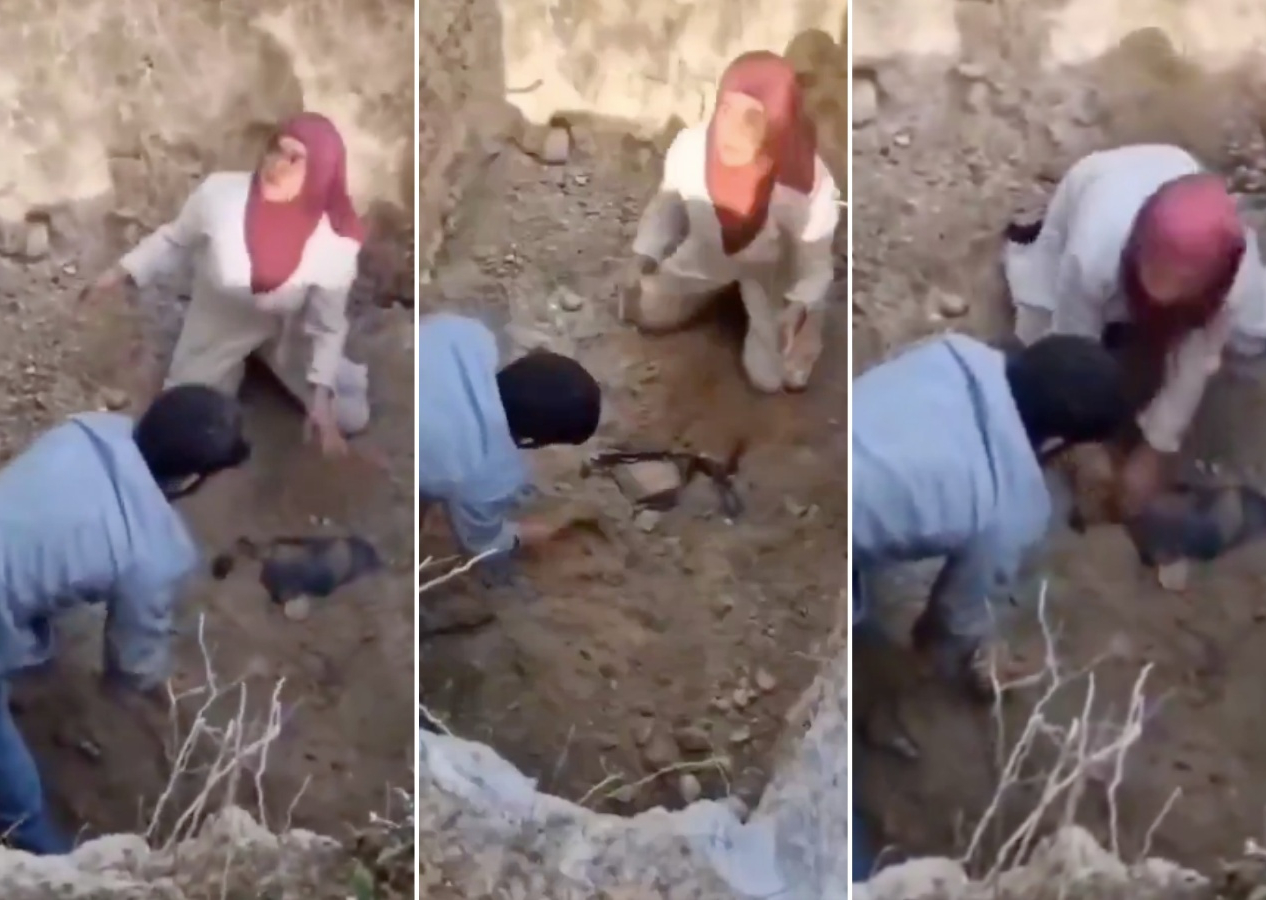 Bursa’da skandal: Kuduz şüphesiyle gömülen köpeklerin mezarını kazdılar! Hıfzıssıhha harekete geçti