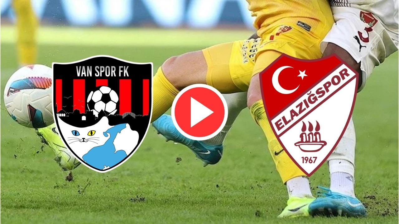 Vanspor 4-1 Elazığspor maçı geniş özeti ve golleri
