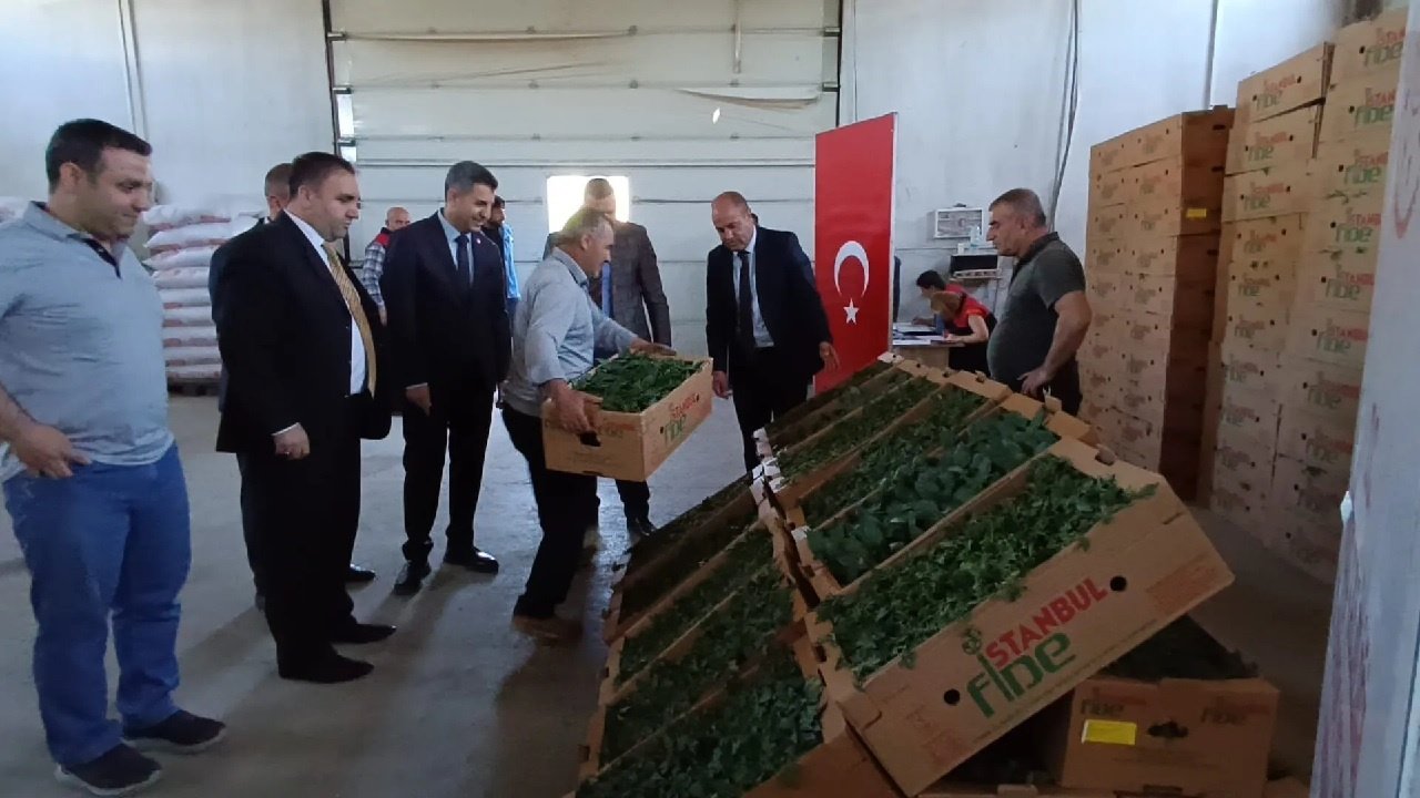 Tarım Kredi Kooperatifi'nden çiftçiye 6,5 milyon TL’lik fide desteği