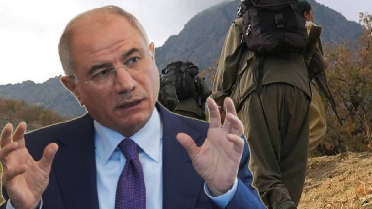 Efkan Ala: Yaz aylarında silah bırakma sürecinin tamamlanmasını ön görüyoruz