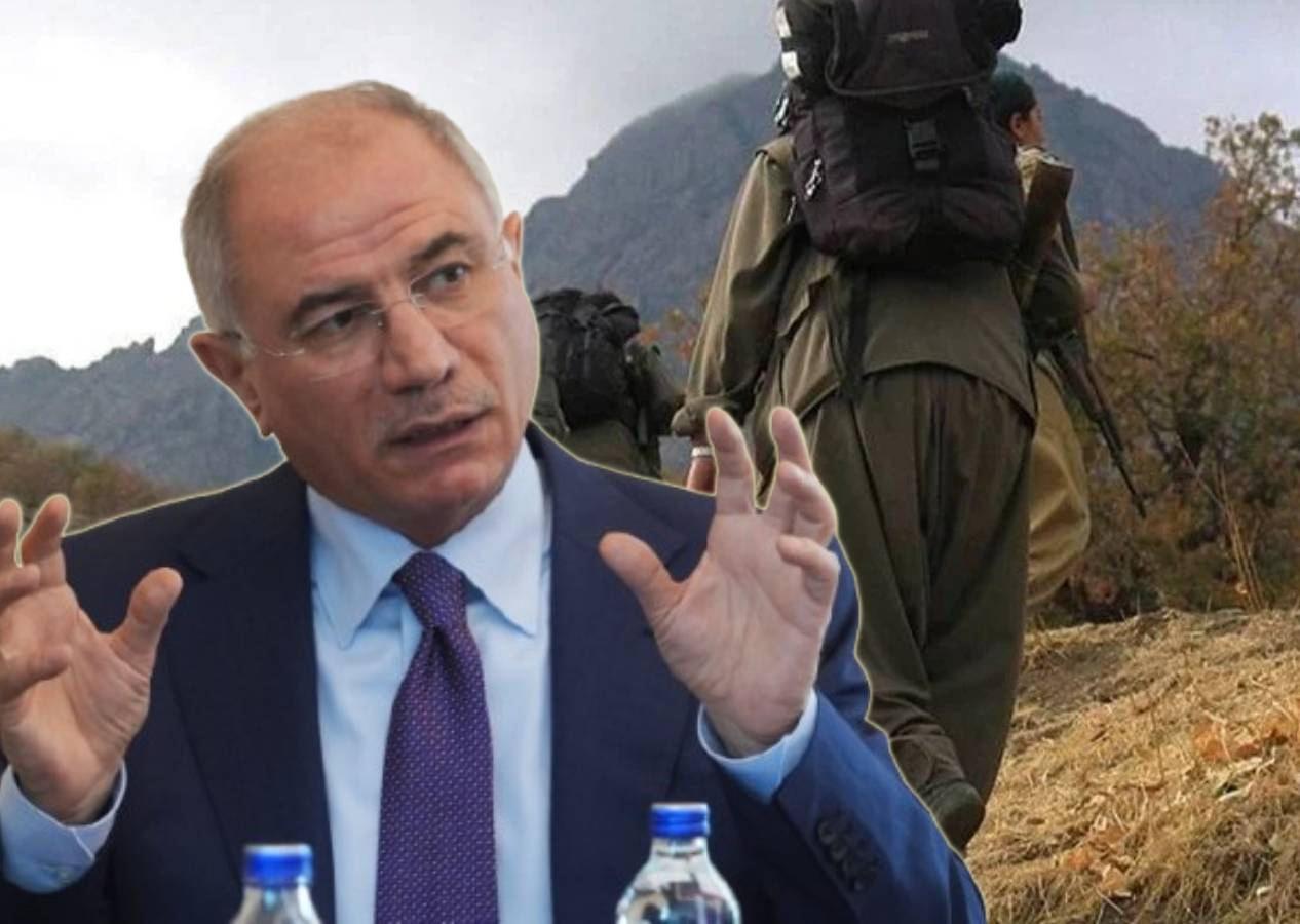 Efkan Ala: Yaz aylarında silah bırakma sürecinin tamamlanmasını ön görüyoruz