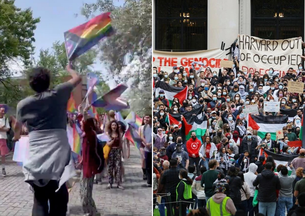 ODTÜ-Harvard farkı... Bizimkiler sapkın LGBT, onlar Filistin için eylem yapıyor!