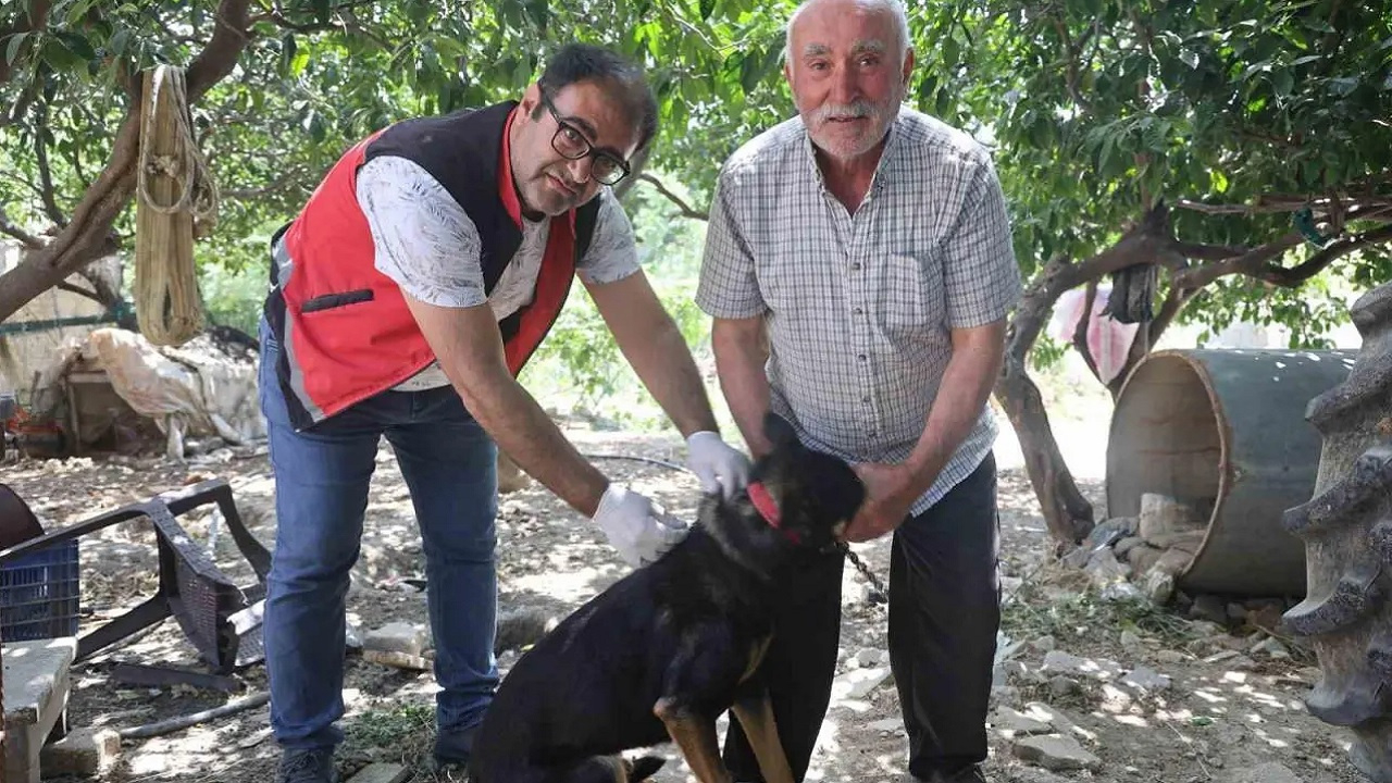 Hatay'da Kuduz Alarmı: 4 Mahalle Karantinaya Alındı!