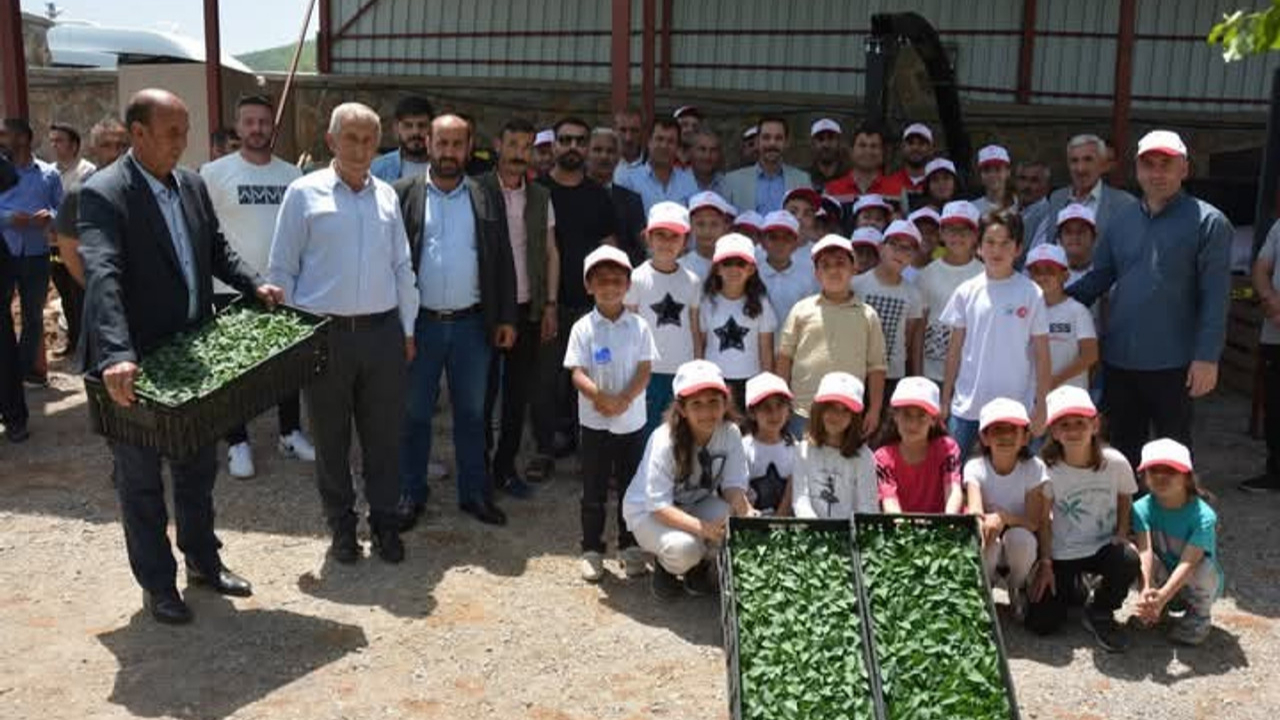 Bitlis'te çiftçinin yüzü güldü! Fide ve tohum dağıtımı yapıldı...