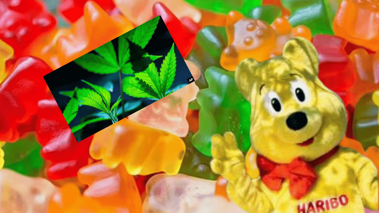Boykotlu marka Haribo'dan esrar çıktı!
