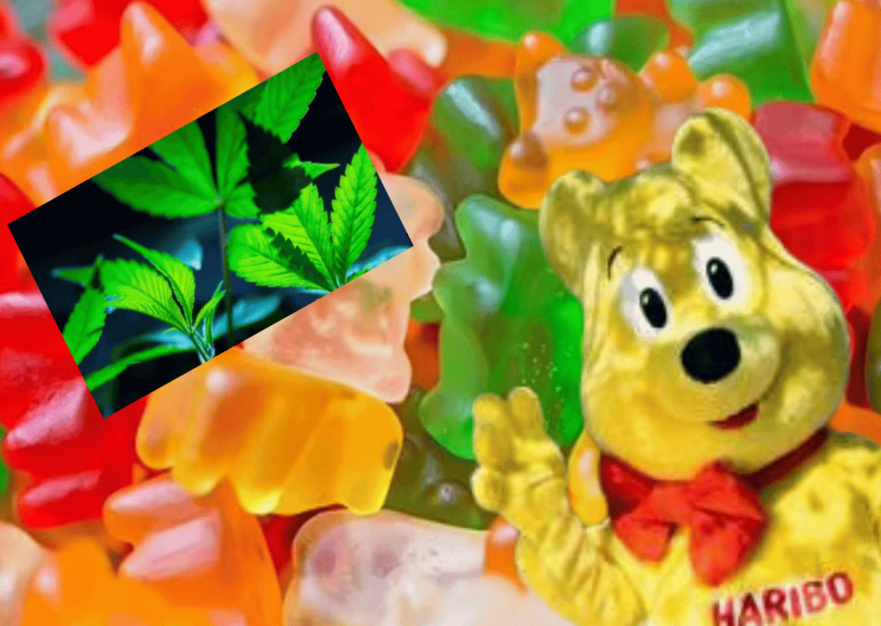 Boykotlu marka Haribo'dan esrar çıktı!