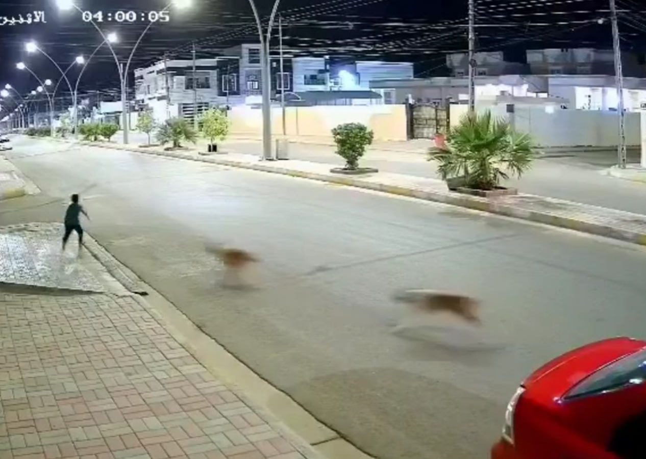 Köpek saldırısından Kelime-i Şehadet getirerek kurtuldu