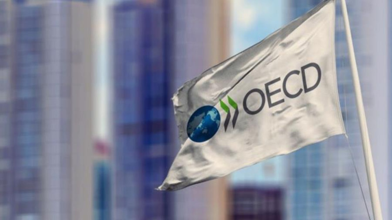 OECD’den Türkiye’ye büyüme tahmini! 2025’te %2,9