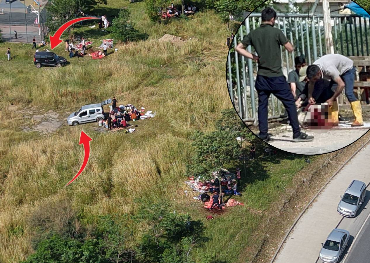 Kaçak kurban kesimi her yerde, yasağa aldırış etmediler; boş araziler, yol kenarları, ağaç altları...