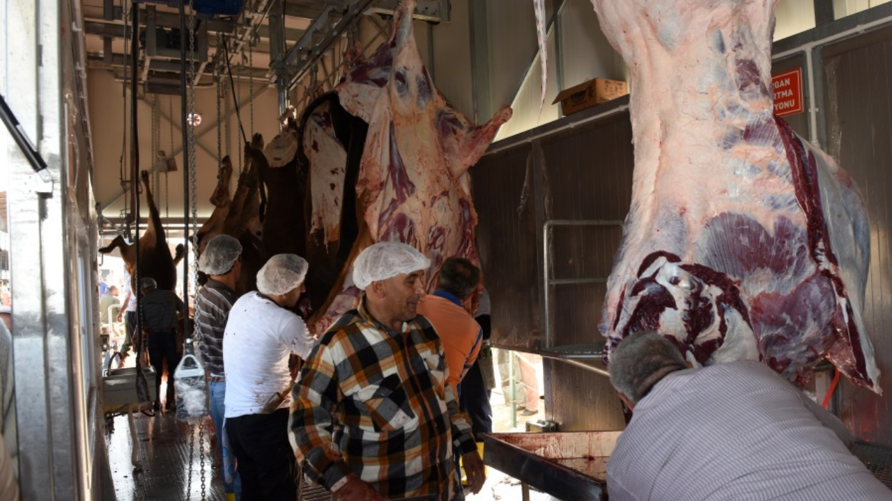 Cezalar belli oldu! Sokakta kurban kesip atıklarını gömenlere 16.609 TL lira ceza