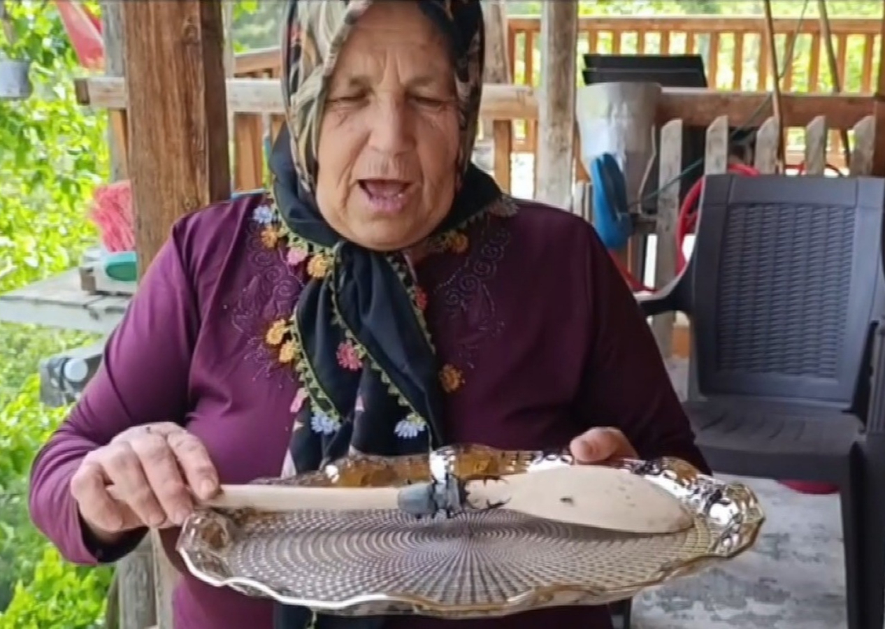 Parmak kadar ama cezası cep yakıyor! Geyik böceğini öldürmenin bedeli 557 bin TL...