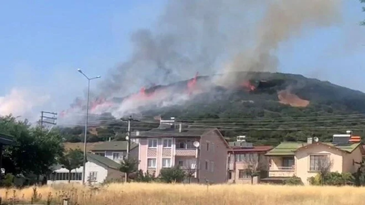Tokat’ta orman yangını! 20 dönümlük arazi zarar gördü
