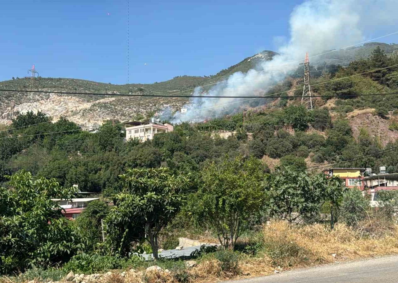 Hatay’da ormanlık alanda yangın! Soğutma çalışmaları sürüyor