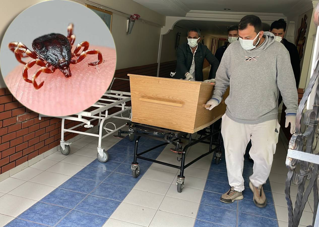 Sivas kabusu yaşıyor! 7 çocuk annesi kadın keneden öldü, kentte ölü sayısı 8’e yükseldi