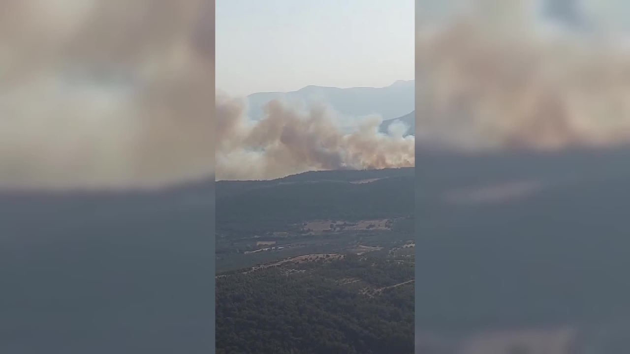 Manisa'da orman yangını! Ekiplerin müdahalesi sürüyor...