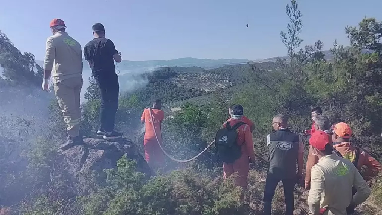 Manisa'daki orman yangını 2. gününde kontrol altına alındı