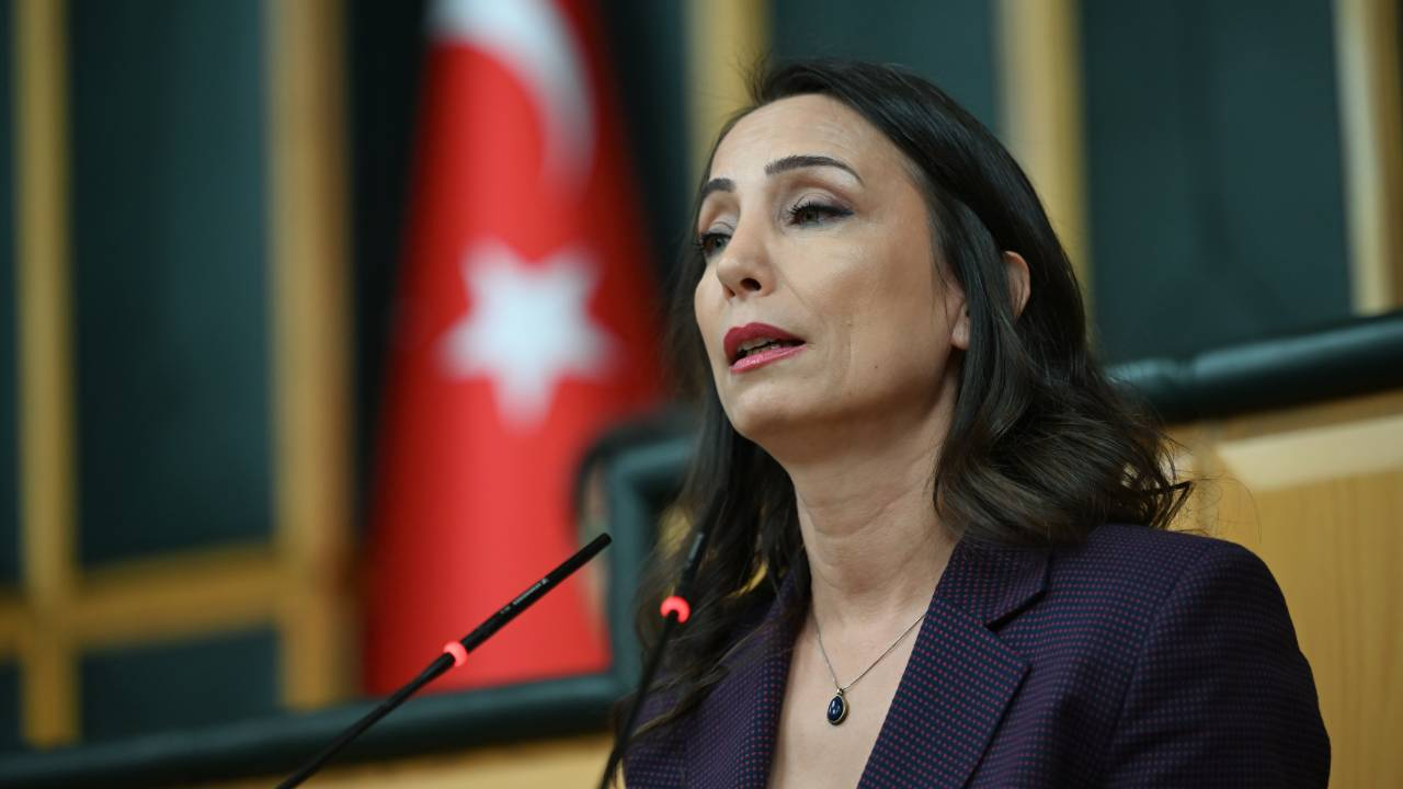 DEM Parti'den Bahçeli'nin sözlerine destek... Hatimoğulları: Tarih bize, 'Beklemeyin, yol alın' diyor