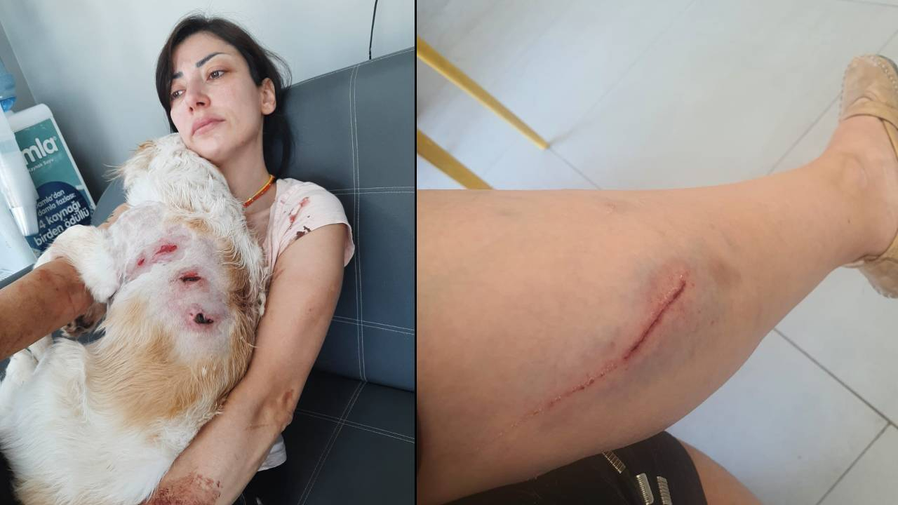Bursa'da köpeğini gezdiren kadına, sokak köpekleri saldırdı; o anlar kamerada