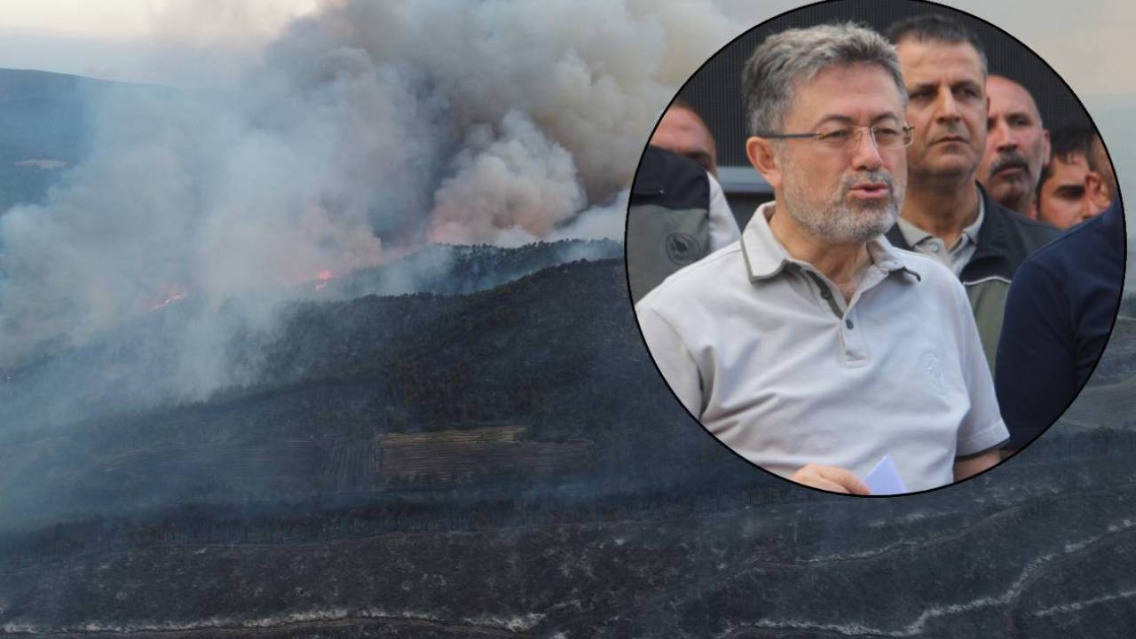 Sakarya-Bilecik sınırındaki yangın kontrol altına alındı! Bakan Yumaklı: En ağır cezalar verilecek