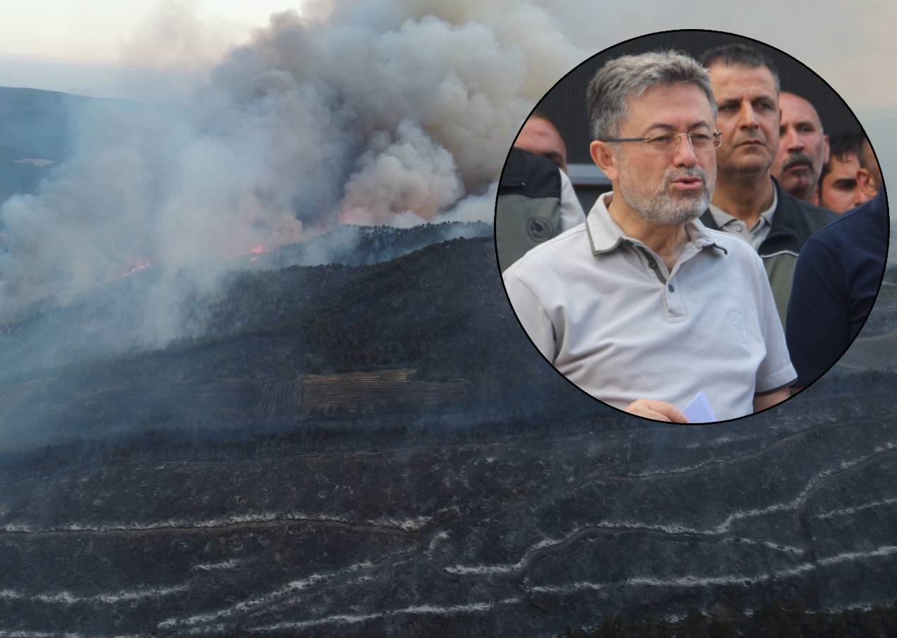 Sakarya-Bilecik sınırındaki yangın kontrol altına alındı! Bakan Yumaklı: En ağır cezalar verilecek