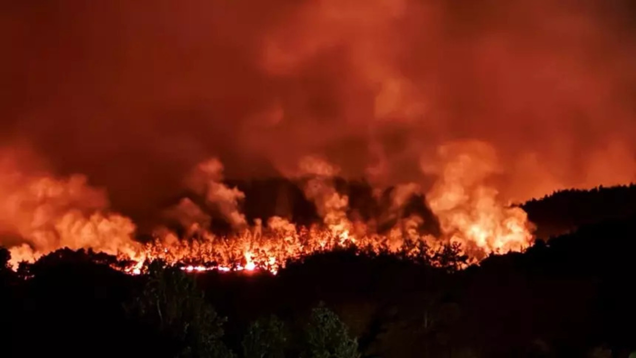 Sakarya'daki yangın Bilecik'e sıçradı! Müdahalelerde son durum ne?