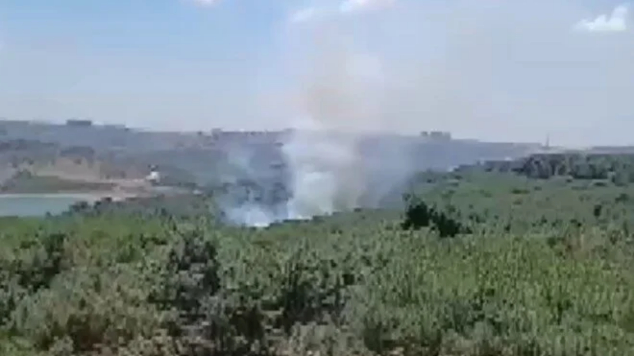 İstanbul Sultangazi kent ormanında yangın çıktı!