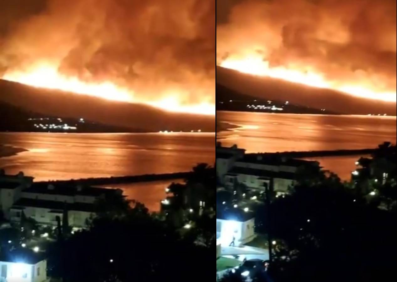 Alaçatı yangını sadece ormanları değil yürekleri de yaktı... "İçimiz yanıyor, çaresiziz"