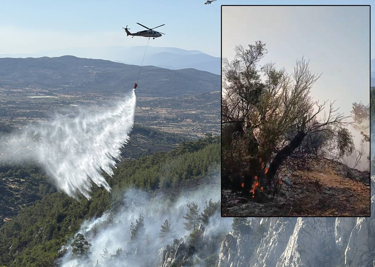 Yangınlarda son durum: Muğla Milas ve Saruhanlı'da alevler kontrol altında