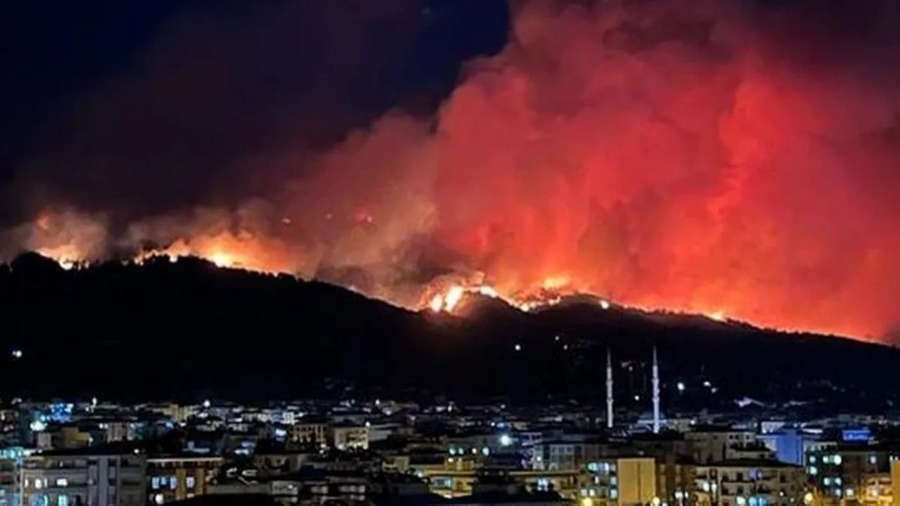 Hatay'daki orman yangınına ilişkin 1 kişi gözaltına alındı