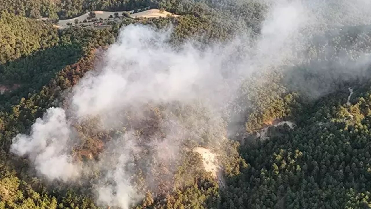 Şarköy'de başlayan, Gelibolu'ya sıçrayan orman yangını ikinci gününde kontrol altına alındı!