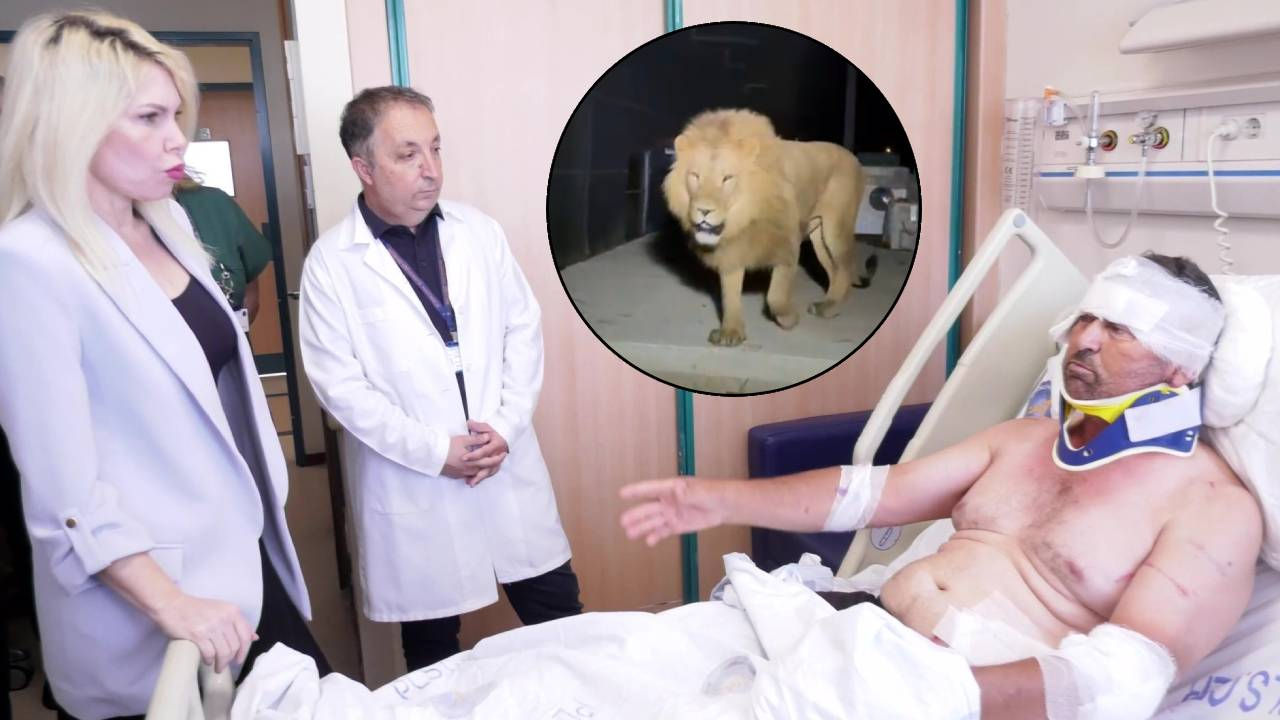 Sivrisinek ısırmasın diye üstüne battaniye örtmüştü, aslan ısırdı! Manavgatlı çiftçi taburcu edildi