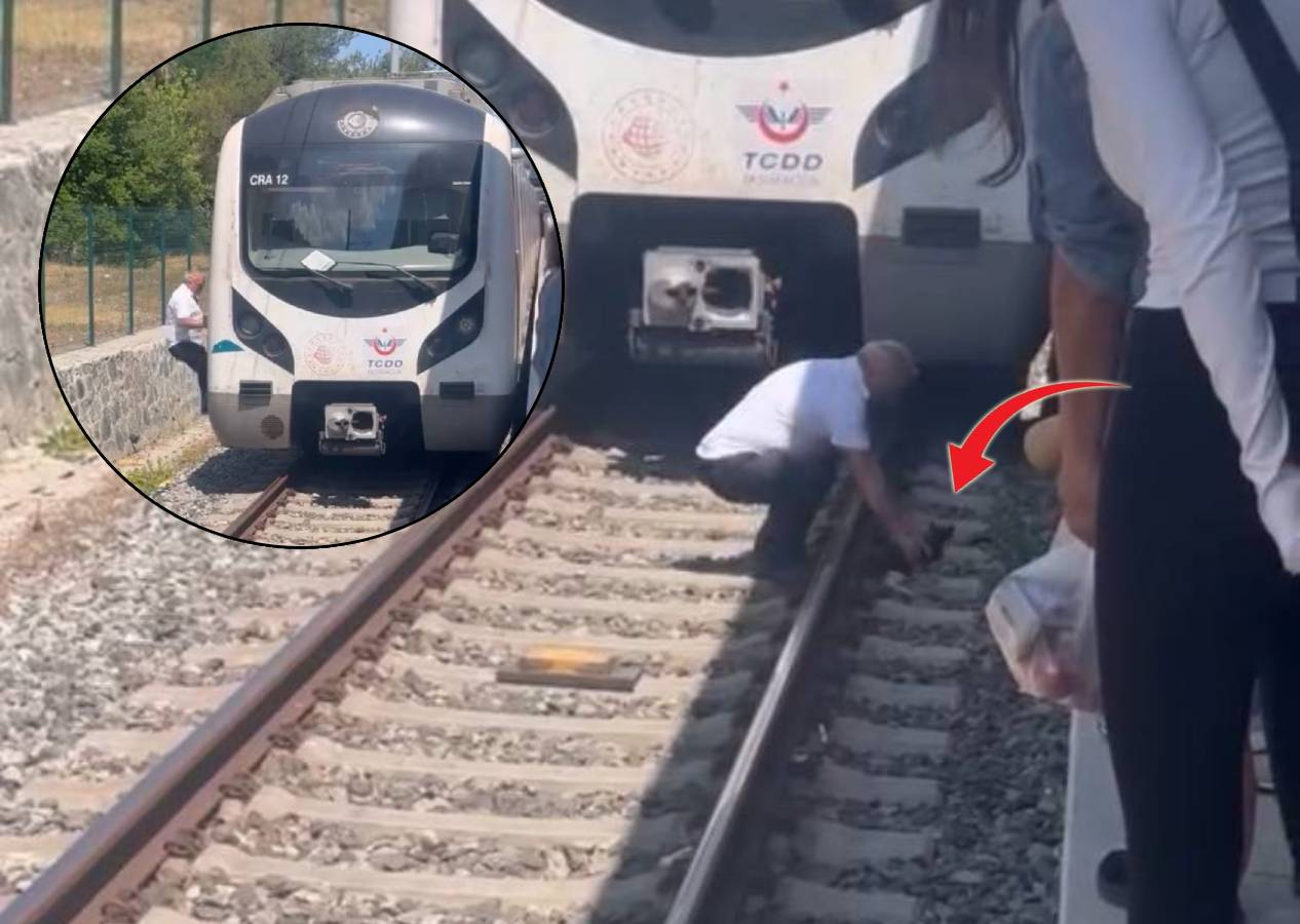 Marmaray'ın kahraman makinisti... Raylarda yavru kediyi görünce treni durdurup aşağı indi