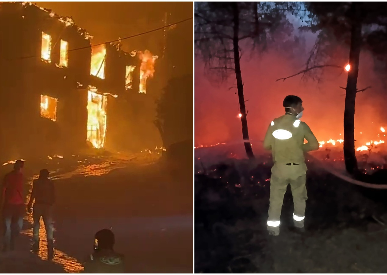 Geyve'deki orman yangınında alevlerin ortasında kalan hayvanların çığlıkları yürekleri dağladı! Yanarak can verdiler