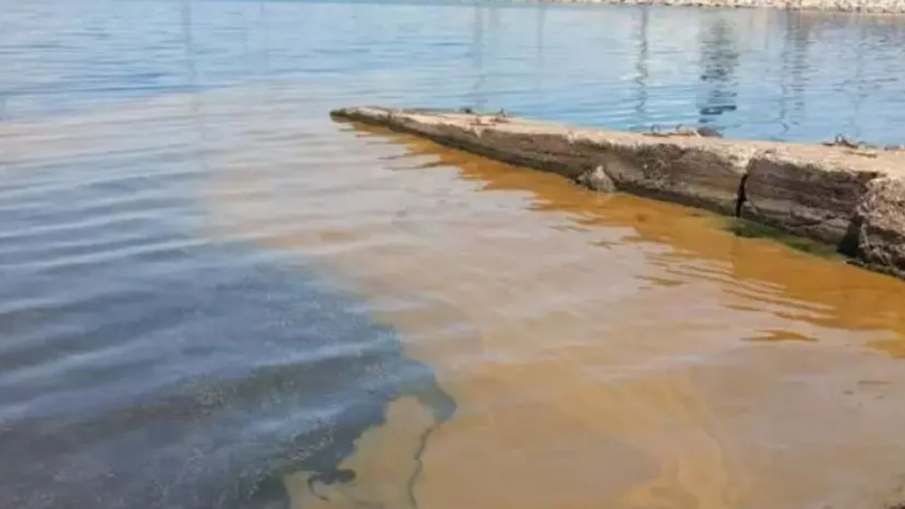 Marmara'da korkutan görüntü! Skandal sızıntı sonrası harekete geçildi!