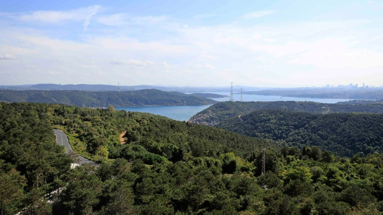 İstanbul ve Yalova'da yangın önlemi! Son tarih: 2 Ağustos!
