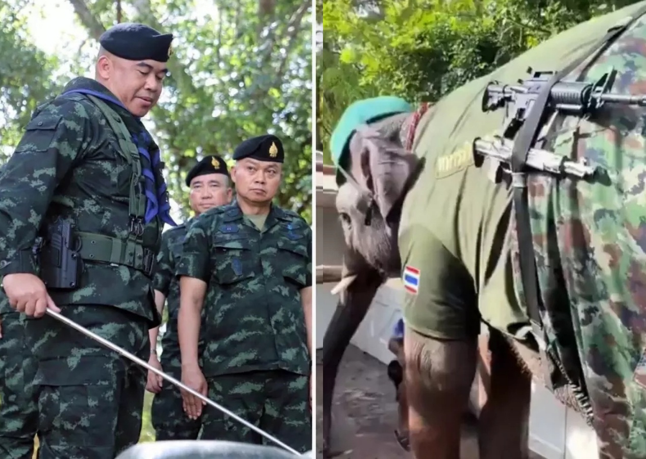 Tayland-Kamboçya sınırında çatışmalar tırmanıyor: Can kaybı 32’ye çıktı, Tayland ordusu sınıra fil gönderdi