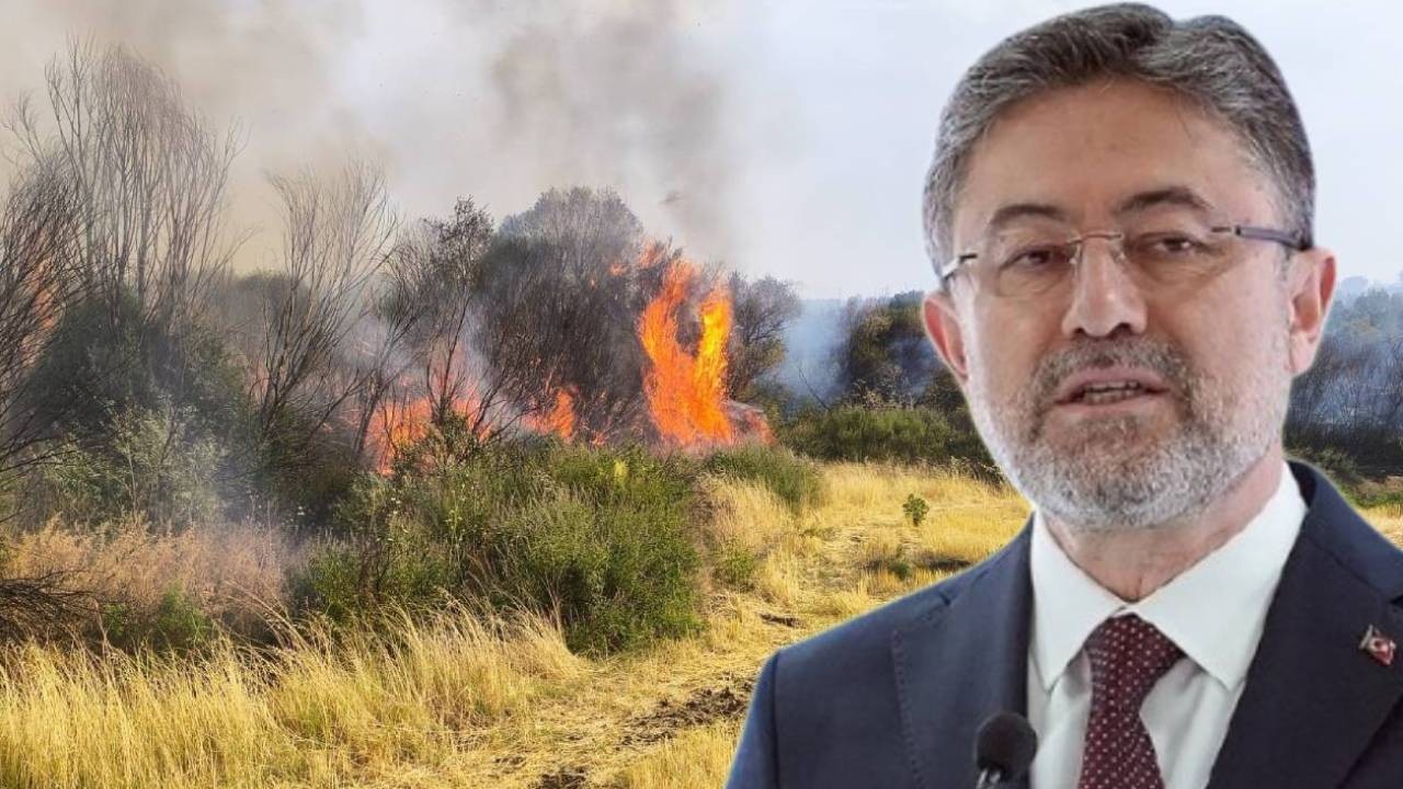 Yanan ormanların yerine otel mi yapılıyor? 10 maddede işin gerçeği ve Bakan Yumaklı'dan tepki