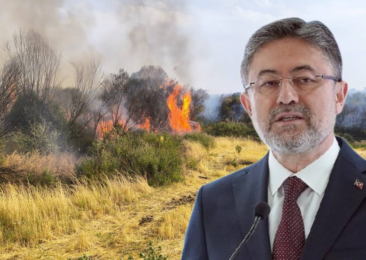 Yanan ormanların yerine otel mi yapılıyor? 10 maddede işin gerçeği ve Bakan Yumaklı'dan tepki