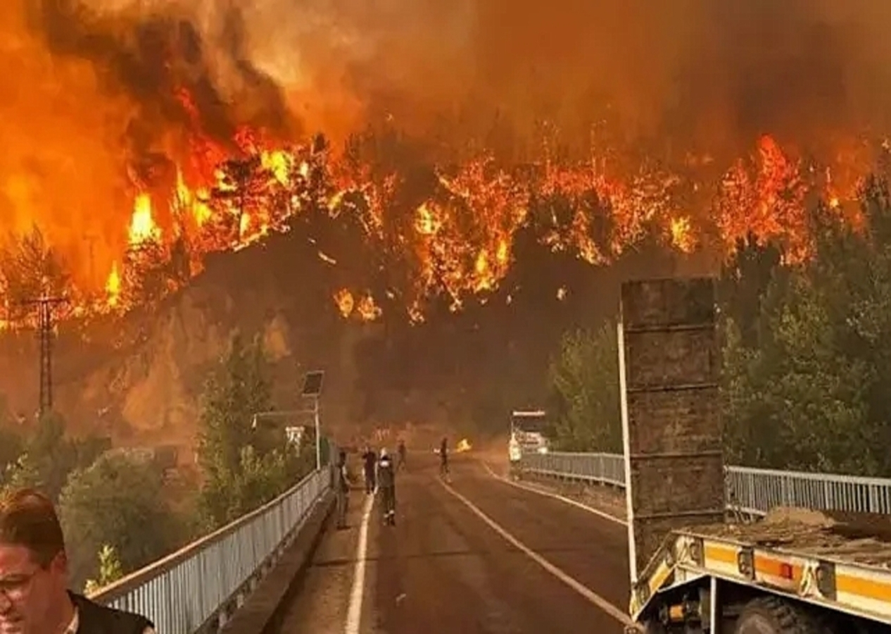 Bursa'da havai fişekle ormanı küle çevirenlere ibretlik ceza! 1 kişi tutuklandı...
