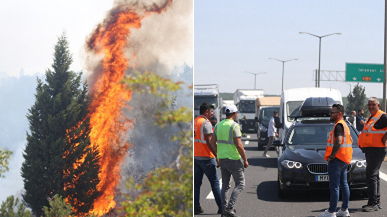 Kırklareli Babaeski'de orman yangını: Avrupa Otoyolu trafiğe kapandı